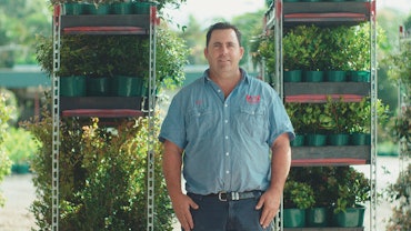 Josh from Waterworth Nursery QLD